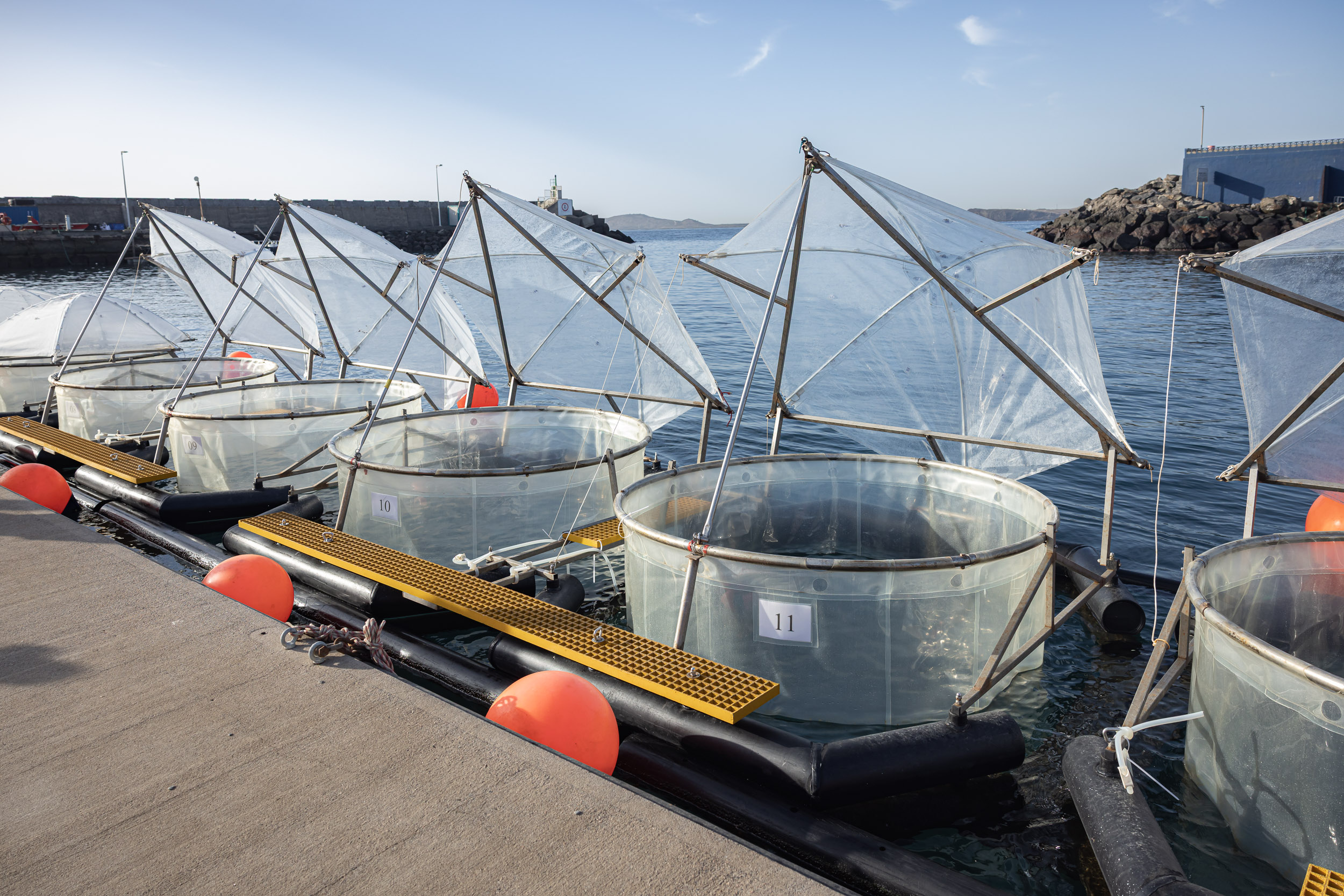 El Centro GEOMAR Helmholtz para la Investigación Oceánica de Kiel prueba en Gran Canaria el uso de residuos de hormigón para la protección del clima en el océano