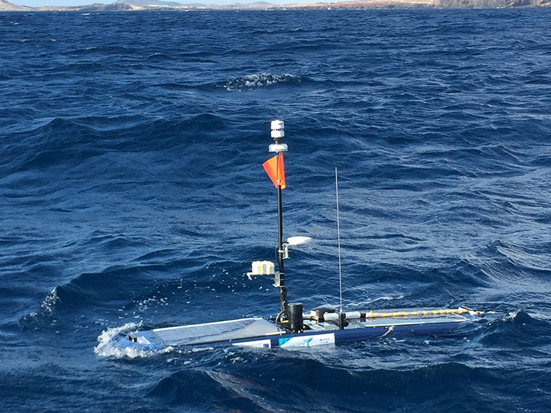 Monitorización de cetáceos en aguas de Gran Canaria con vehículos autónomos