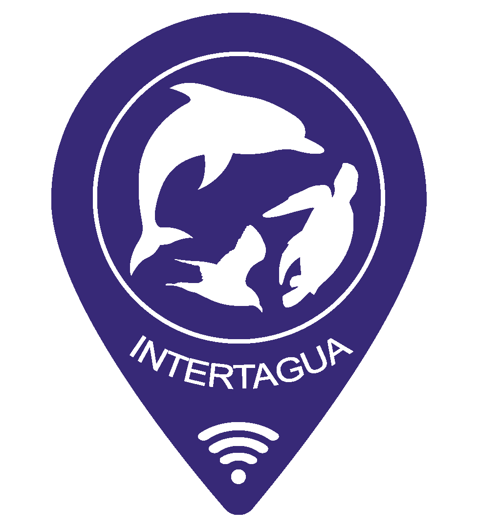 INTERTAGUA: Interactive Aquatic Interfaces for Detection and Visualization of Atlantic Marine Megafauna and Vessels in Macaronesia using Radio Tags